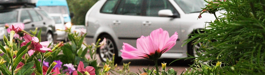 panorama_blommor_bilar